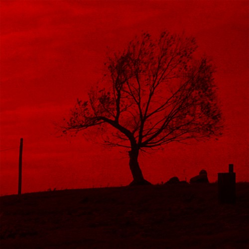 Unforgiven